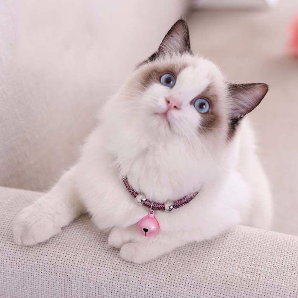 Vòng Cổ Có Chuông Và Dây Xích Mở Rộng Có Thể Điều Chỉnh Dễ Dàng Điều Chỉnh Cho Thú Cưng/Mèo Nhỏ/Thú Cưng Nhiều Màu Sắc