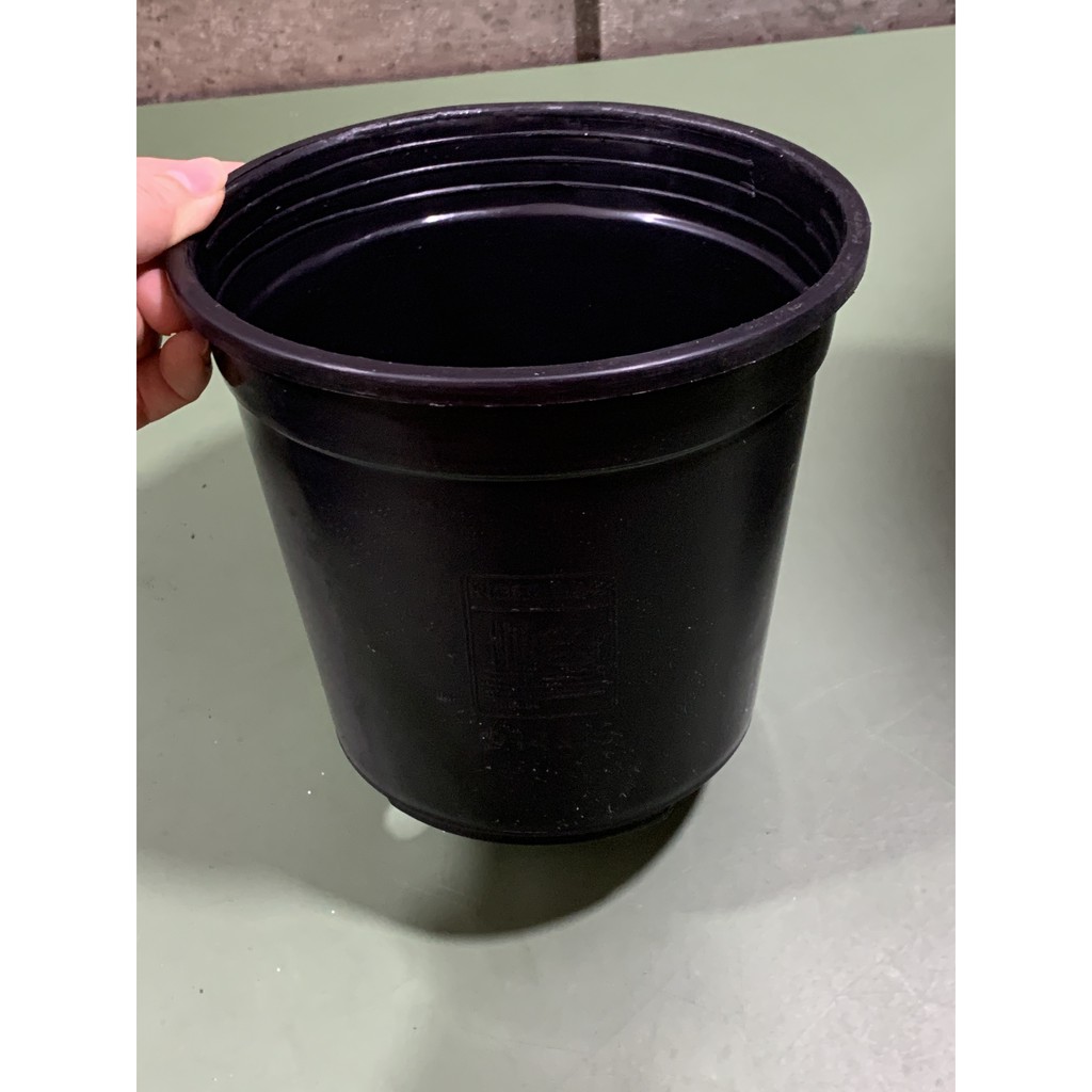 Chậu nhựa cứng 14x15 (cm) chậu cây Thakico !