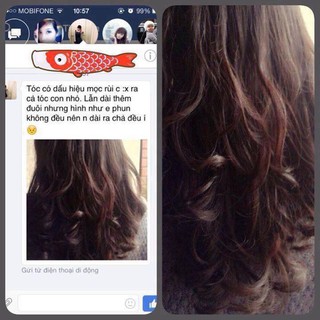 Tinh dầu bưởi kích thích mọc tóc Thái Lan