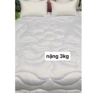Ruột chăn kích thước 2m x 2m2 - lõi chăn đông nặng 3kg