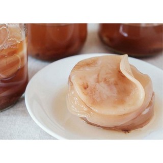 Con Scoby (Sử dụng làm Kombucha)