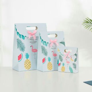 Túi quà giấy dễ thương