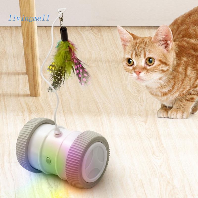 Đồ Chơi Lăn Tự Động Tương Tác Với Mèo Cưng Gắn Lông Vũ Độc Đáo