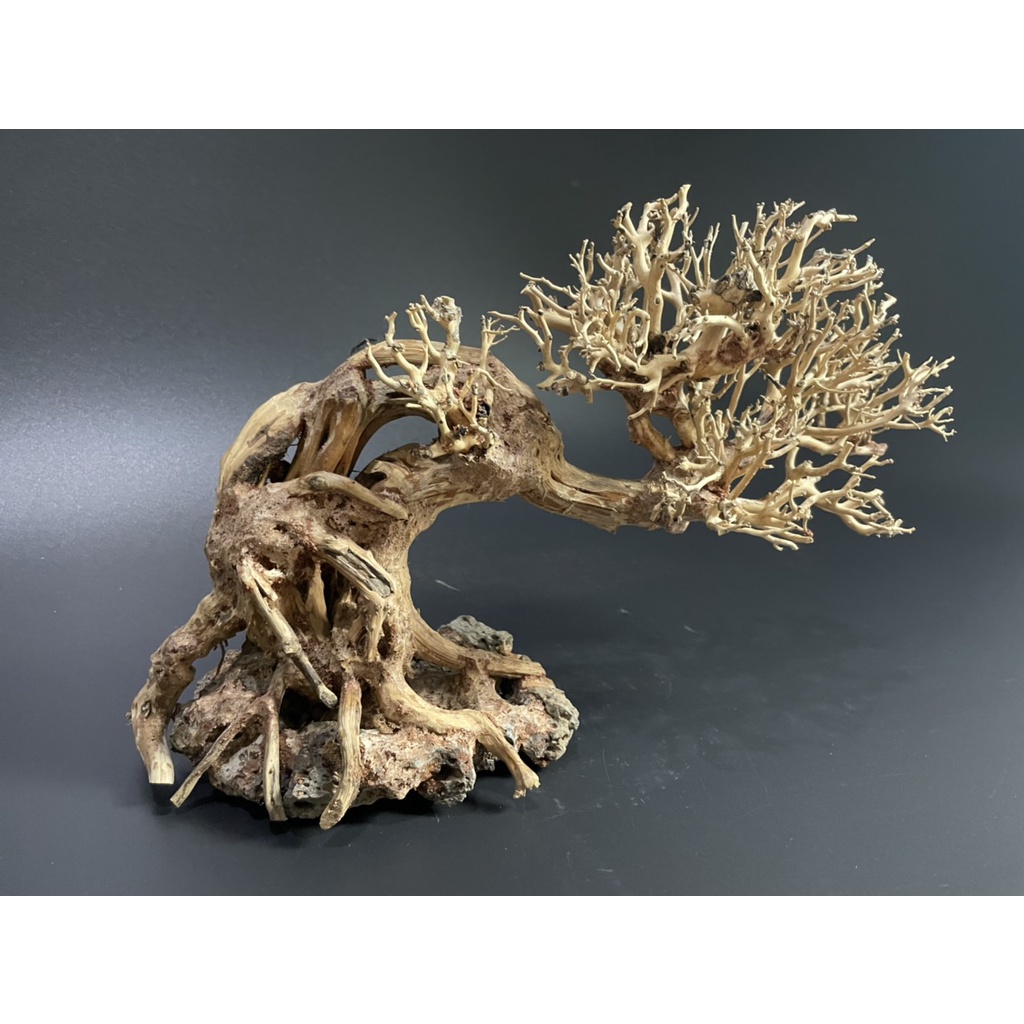 Lũa Bonsai, Lũa thủy sinh dùng trang trí hồ cá cảnh, hồ thủy sinh, văn phòng, nhà cửa