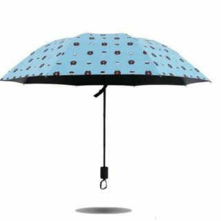 Ô gấu brown gấp gọn bỏ túi