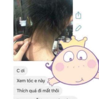 Tinh chất thảo mộc agan