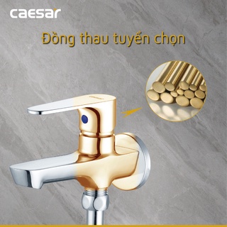 Vòi Sen Lạnh - S063C
