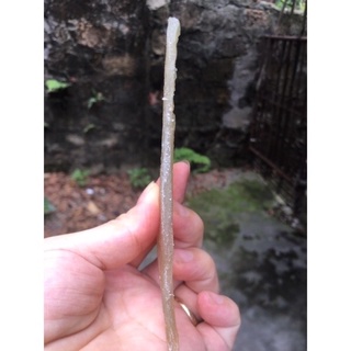 Cá bò khô ép mỏng 1kg