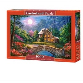 Xếp hình puzzle khu vườn đêm trăng 1000 mảnh CASTORLAND C-104208