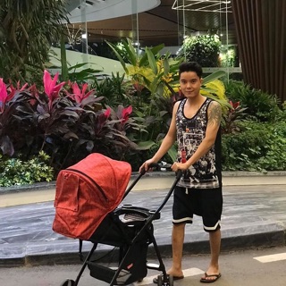XE ĐẨY 2 CHIỀU 3 TƯ THẾ  XĐ702