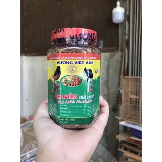 Cám Vương Việt Anh Choè Lửa Choè Than