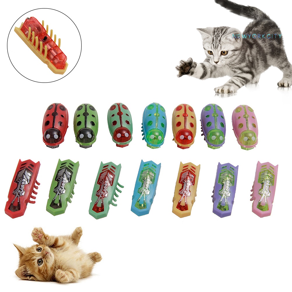 Đồ Chơi Robot Điện Tử Tương Tác Cho Mèo Hình Bọ Cánh Cứng Dễ Thương