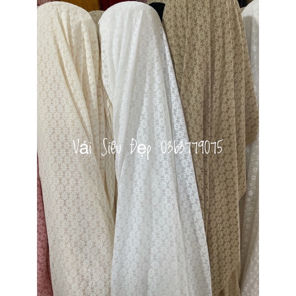 Ren hoa mặt lông nhẹ mềm mịn