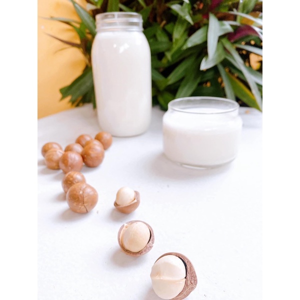 Hạt Macca Bóc Sẵn Trần Anh Food - Hạt Macca Đắc Lắc bóc sẵn nhận vể không cần bóc Hàng xuất khẩu chuẩn chất lượng 100%