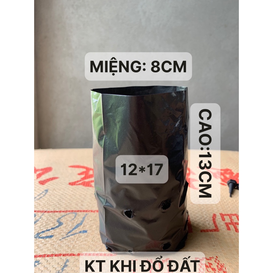 1KG TÚI ƯƠM CÂY MÃ 12*17 ( KÍCH RỄ, MẦM CÂY XANH LÁ, DỊCH TRUYỀN CHO CÂY, BẠT CỎ...)