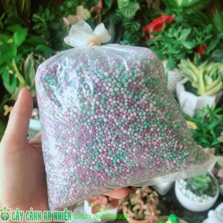Phân Đạm Kích Thích Ra Rễ, Ra Hoa