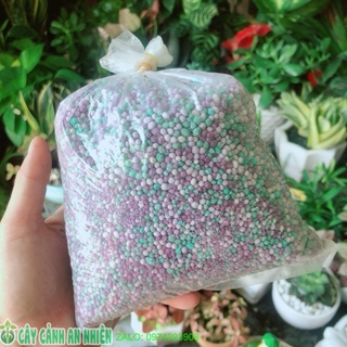 Phân đạm kích thích ra rễ, ra hoa
