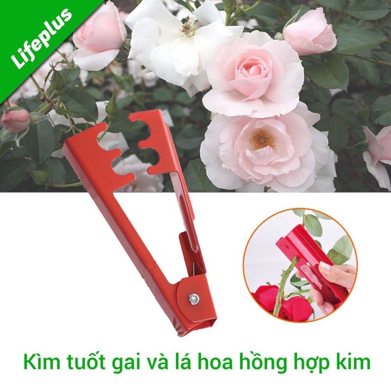 DỤNG CỤ TUỐT GAI/LÁ HOA BẰNG KIM LOẠI