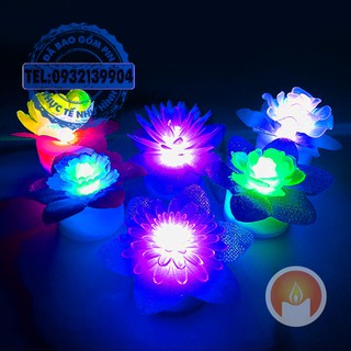 Đèn led hoa đổi màu (ĐÃ KÈM PIN)