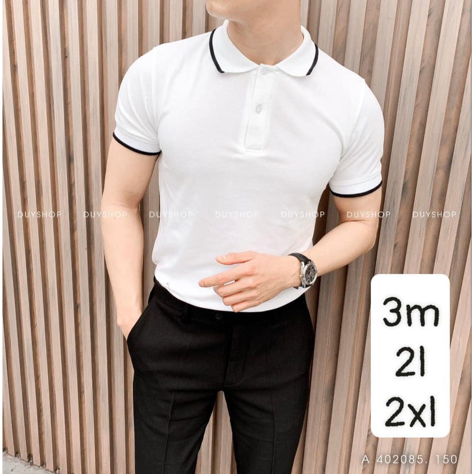Áo phông nam nữ T-MAX có cổ , ngắn tay chất vải thun cotton | BigBuy360 - bigbuy360.vn