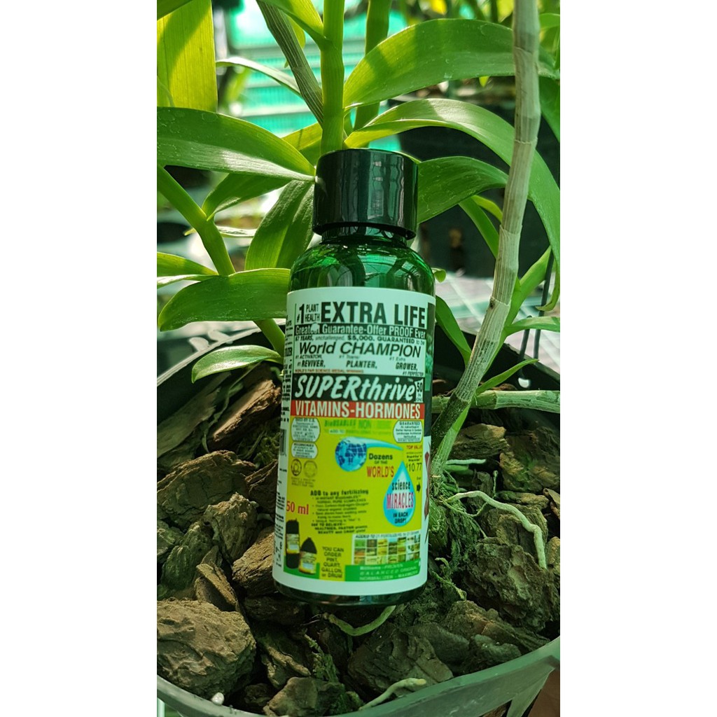 [GIÁ SỐC] Siêu phẩm Superthrive 50ml-Mỹ -50 loại thuốc kích thích 4.9