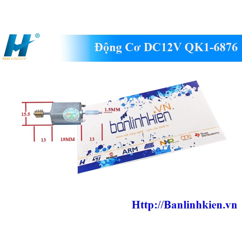 BLK Động Cơ DC12V QK1-6876