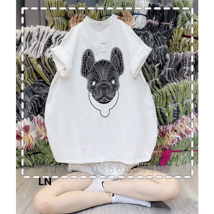 Áo phông chó lưới vòng cổ LN11