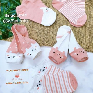 Combo 5 đôi Tất nữ thỏ hồng TG1011