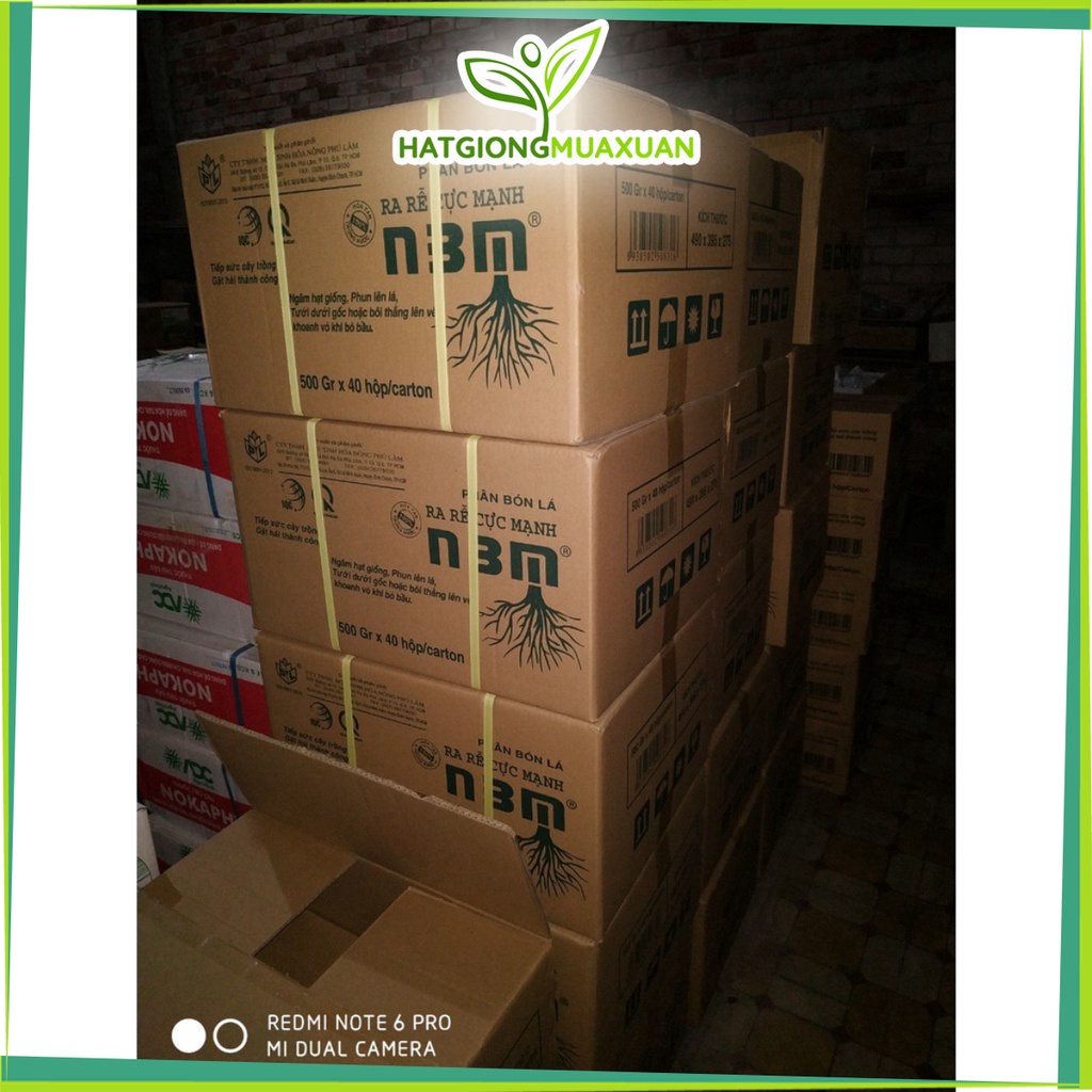 [SIEURE] RA RỄ CỰC MẠNH N3M 500g hàng đẹp, phân phối chuyên nghiệp.