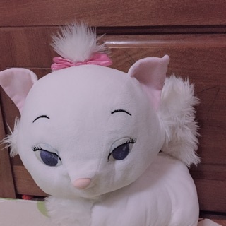 Gấu bông mèo xinh