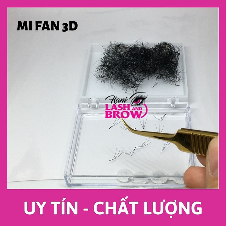 Mi Fan 3D cong C 0.07 và 0.1 LMFT _ Lông Mi Fan Tay Sẵn Hani chân keo nhỏ _1 Hộp chứa hơn 500 Fan