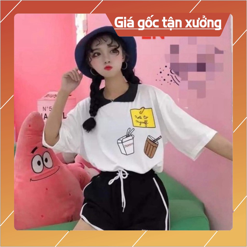 Sét áo polo cốc cà phê+ quần đùi viền LN12