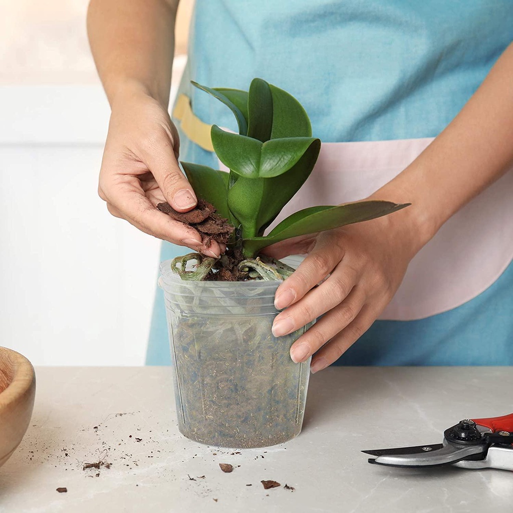 SUYO Chậu Trồng Cây Bằng Nhựa Mềm Trong Suốt