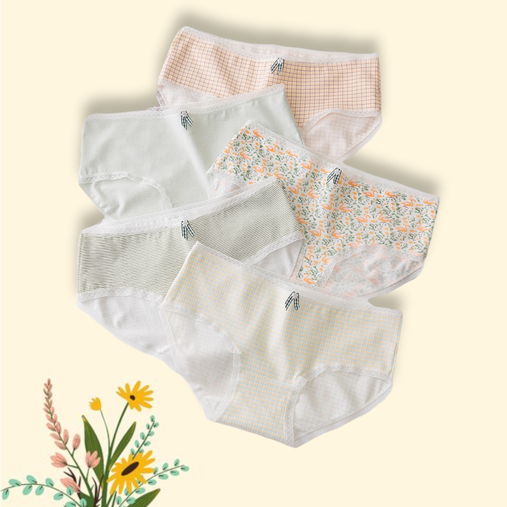 Set bộ 5 quần lót nữ sinh quần lót dễ thương chất cotton họa tiết Hồng hạc kẻ
