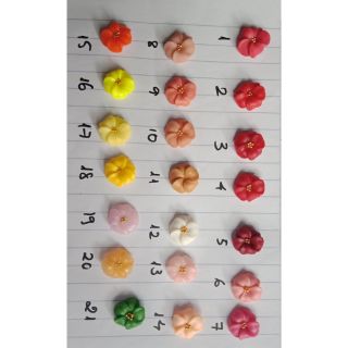 Hoa đậu bột ngành nail và bảng màu