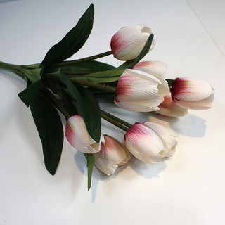 Chùm hoa tulip