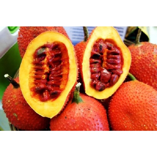 CHÍNH HÃNG VIÊN DẦU GẤC PHÚC VINH PV DHA SÁNG MẮT ĐẸP DA MẠNH TRÍ NÃO HIỆU QUẢ AN TOÀN TỪ GẤC TƯƠI HỘP 100 VIÊN