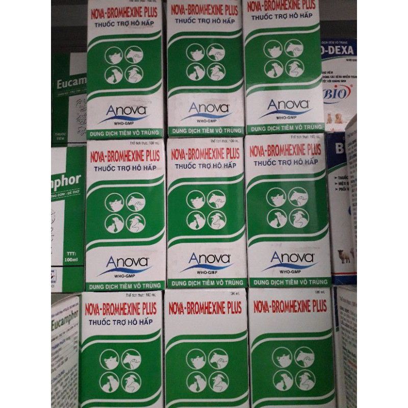 Bromhexin Anova 100ml, gi ảm ho, long đ ờm