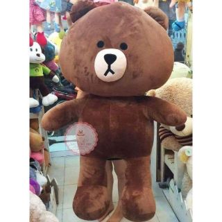 Gấu brown khổ 1m6