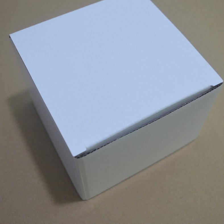 Hộp giấy carton màu trắng