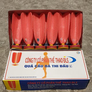 QUẢ CẦU ĐÁ TIÊU CHUẨN THI ĐẤU ĐLS