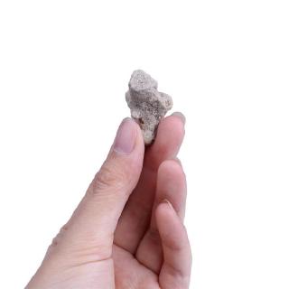 Đá San Hô Nhân Tạo Trang Trí Bể Cá Mới