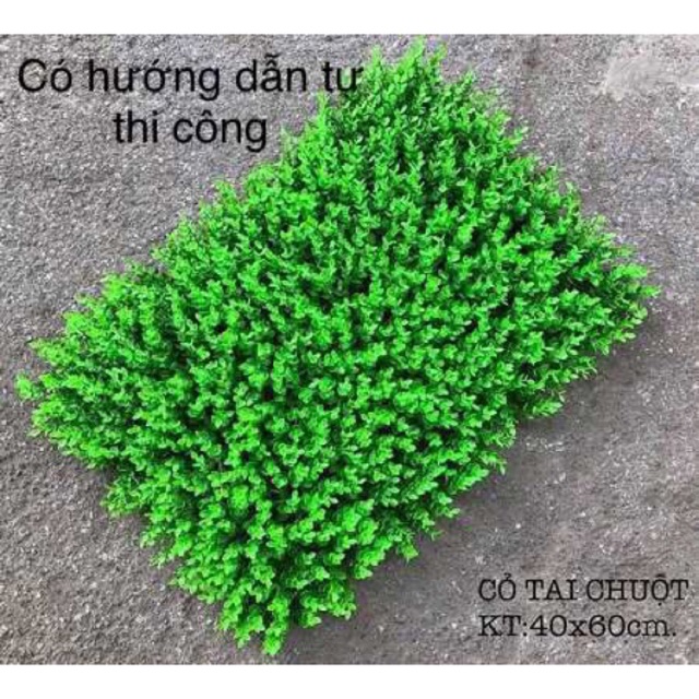 Thảm cỏ tai chuột nhân tạo treo tường