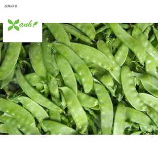 Hạt giống Đậu Hà Lan (Lấy Trái) (20g)