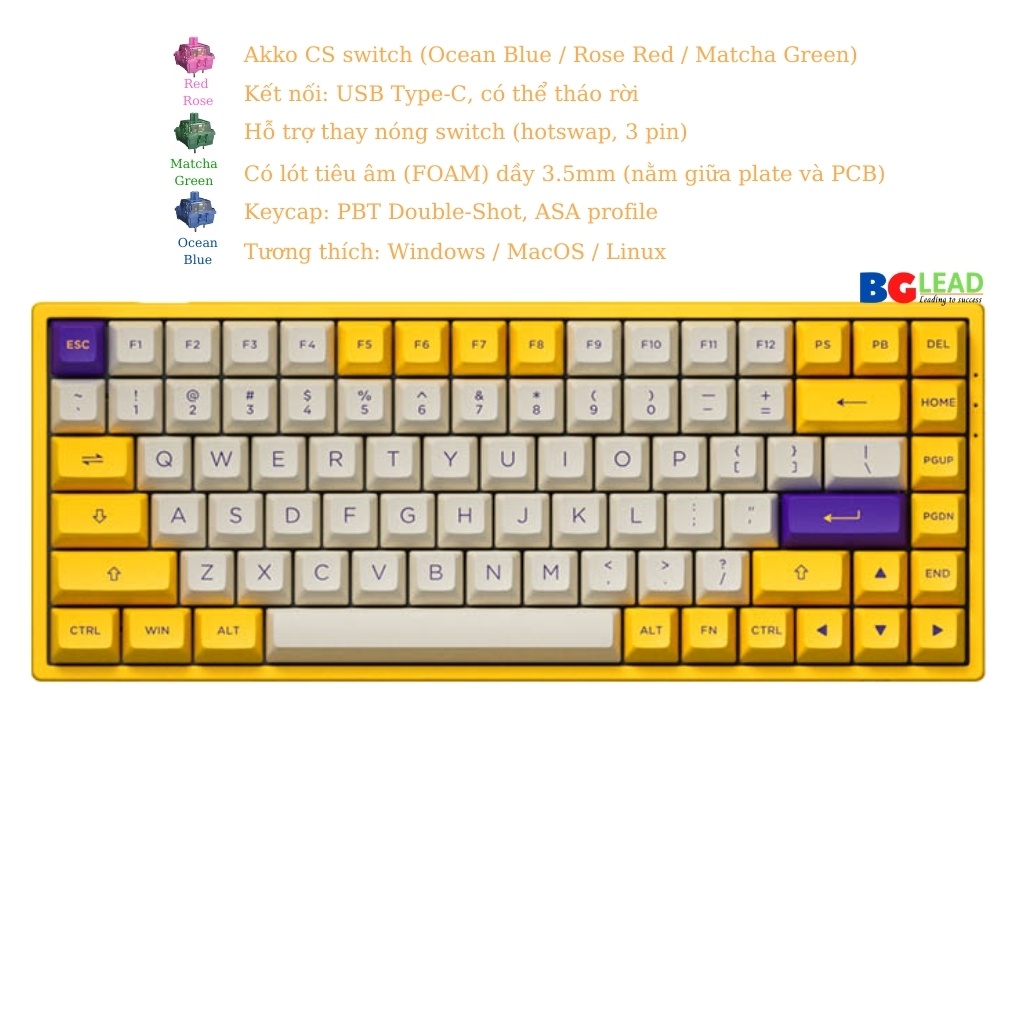 [Chính hãng] Bàn phím cơ AKKO 3084|3098 v2 ASA - Los Angeles (AKKO CS switch|Hotswap|Foam tiêu âm) - Mai Hoàng phân phối