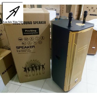 Loa kéo di động ProSing W-215B