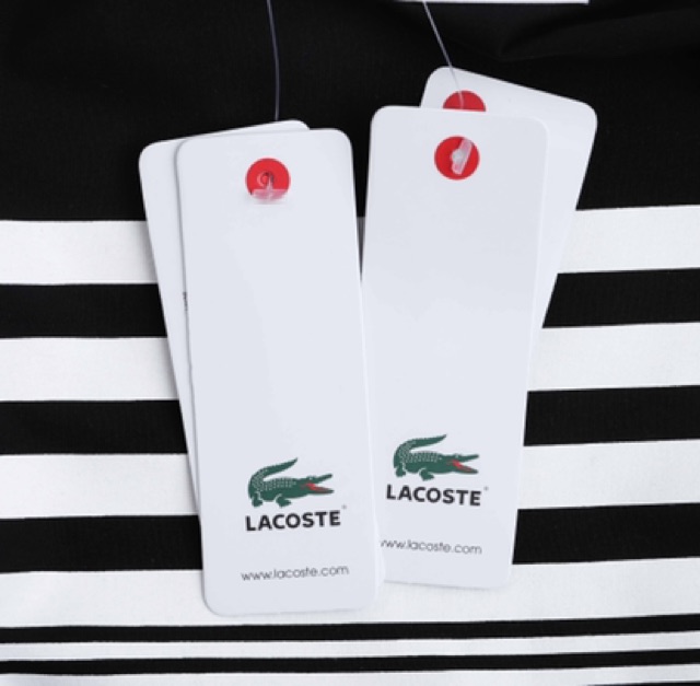 Áo thun LACOSTE