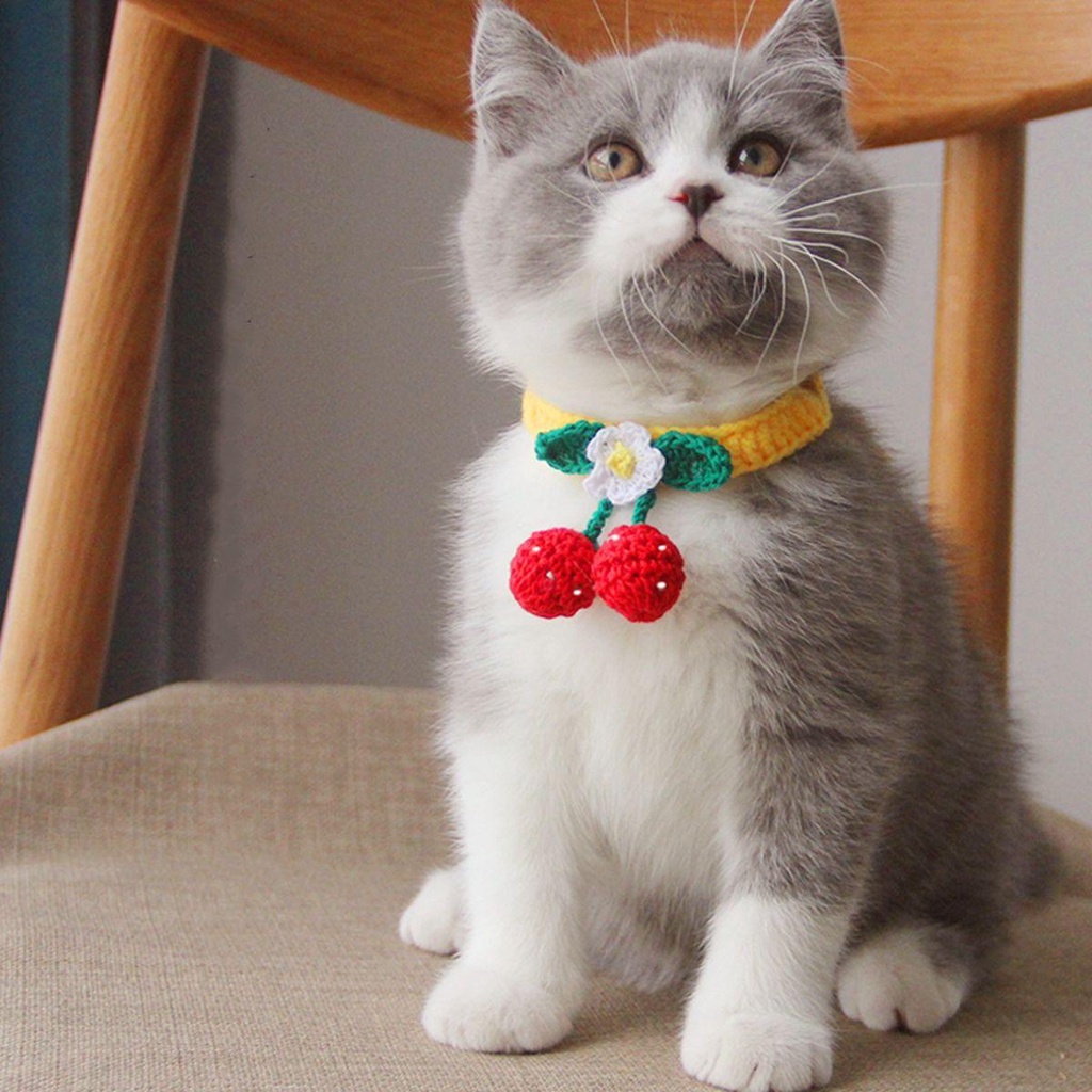 [COD] Vòng Cổ Đan Len Thủ Công Dễ Thương Có Thể Điều Chỉnh Cho Thú Cưng