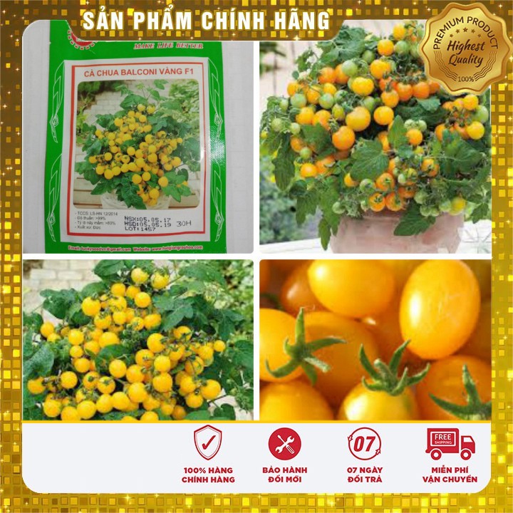 Hạt Giống Cà Chua Bi Bonsai Vàng Lucky seeds (30 hạt)