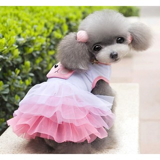 Công chúa con chó Sợi váy mix color puppy quần áo con chó ăn mặc với bowknot